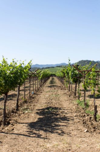 napa valley: wineries