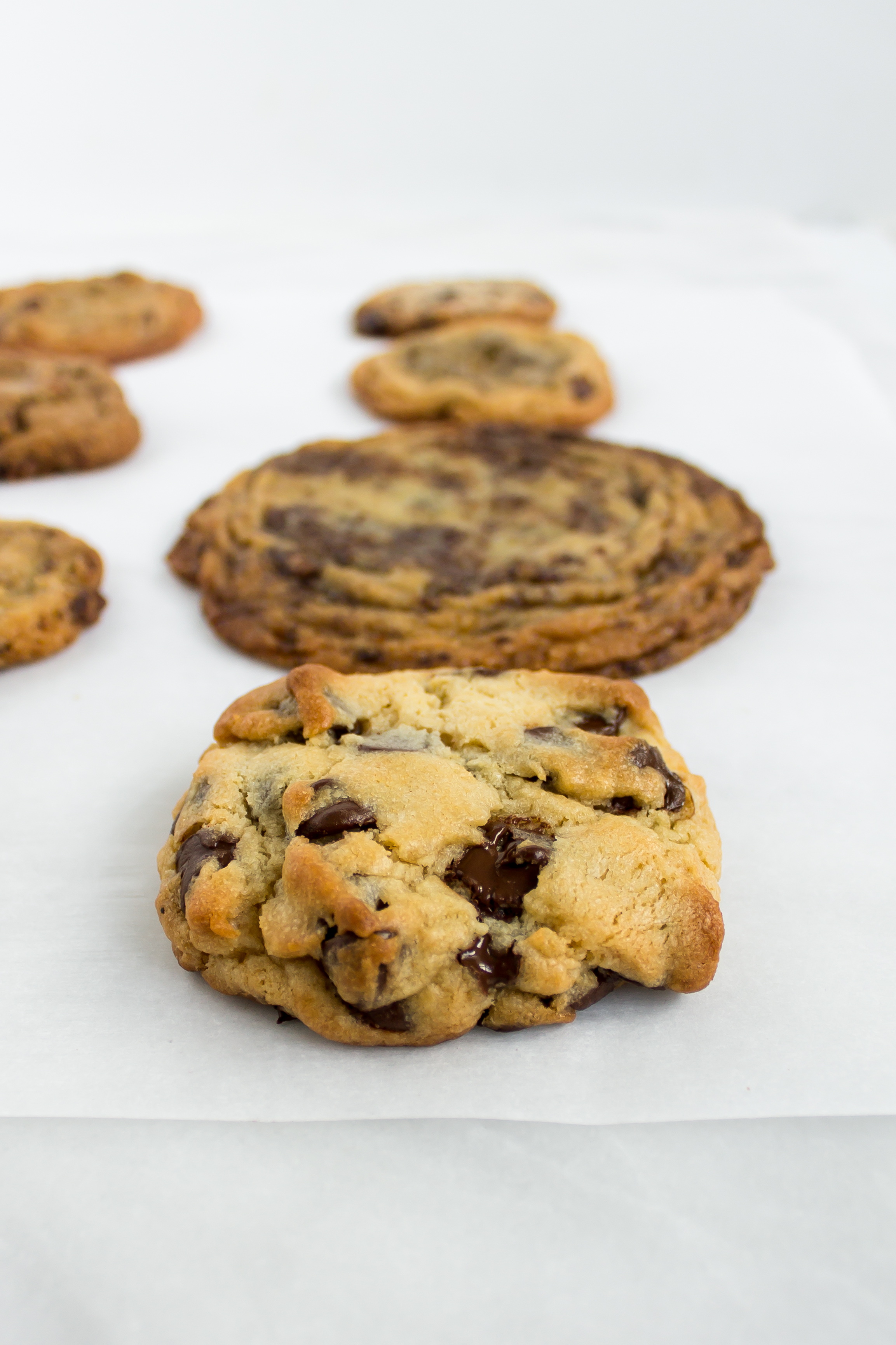 The results of the chocolate chip cookie tournament are in! Check it out to see who won! | Pass the Cookies | www.passthecookies.com