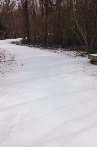 snow day!