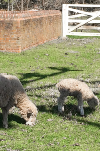 colonial williamsburg