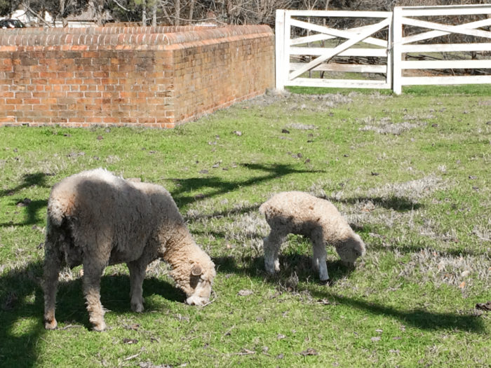colonial williamsburg