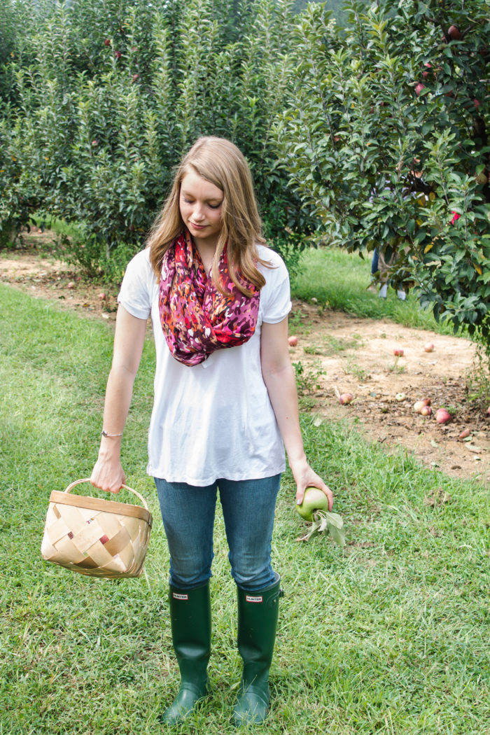 apple picking