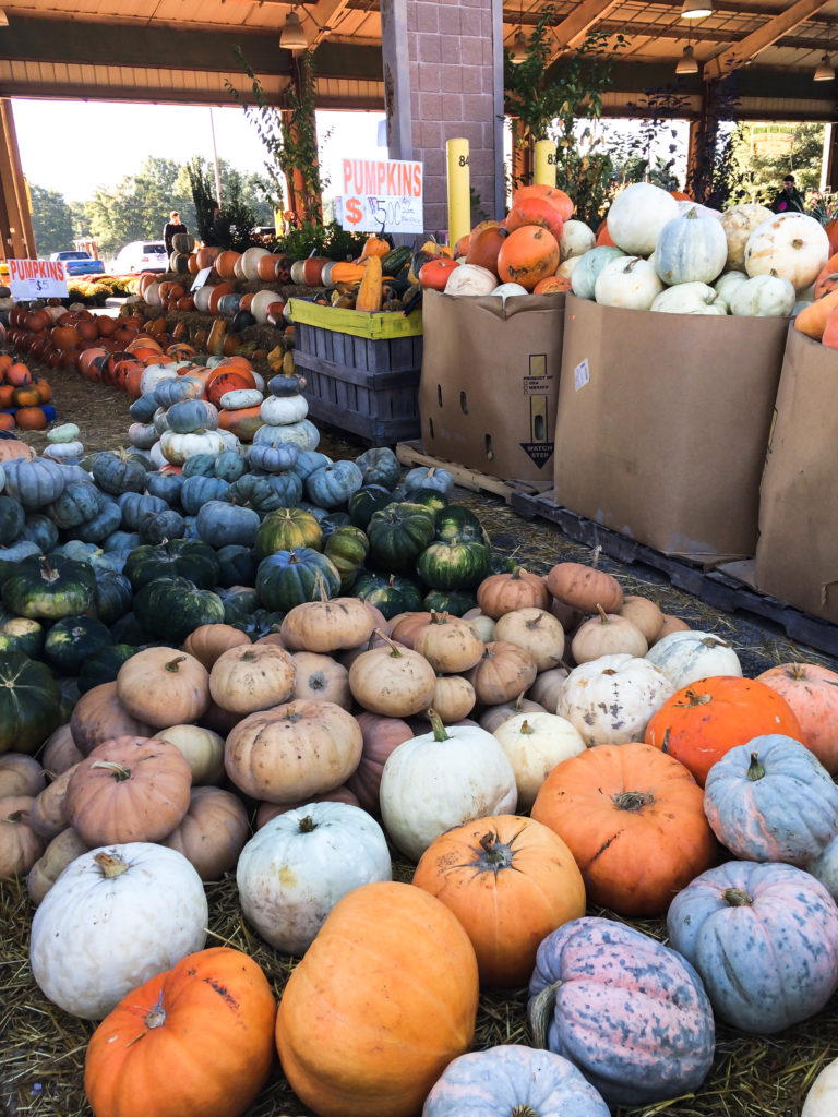 Farmers' Market October-6