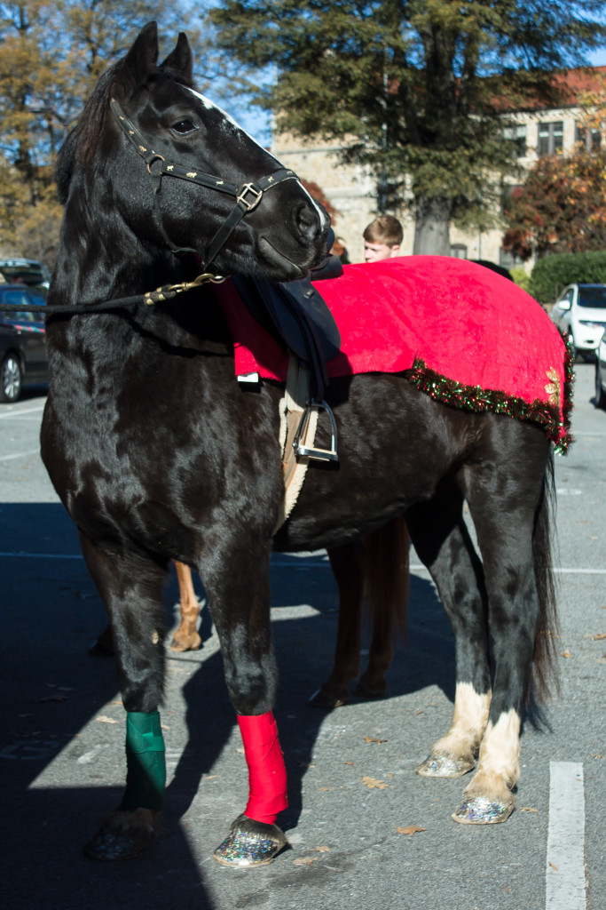 The Christmas Parade always makes me excited and happy about the season to come :) 