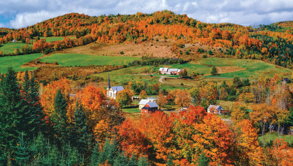 Fall Foliage Trips - New England