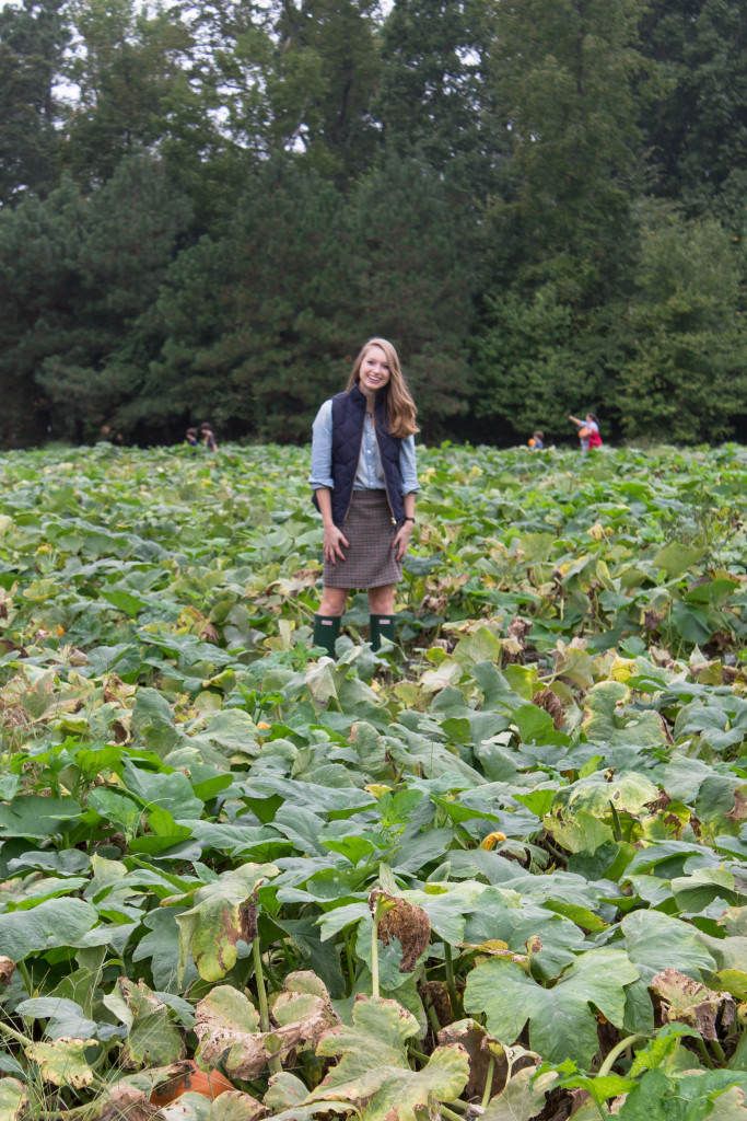 Pumpkin Picking-4