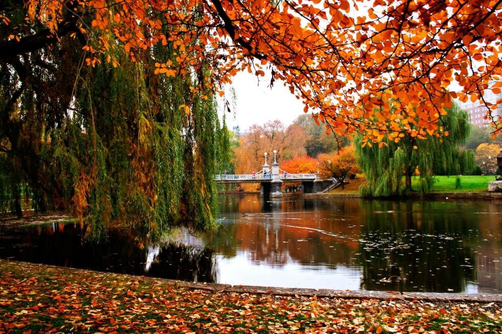 Fall Foliage Trips - Boston