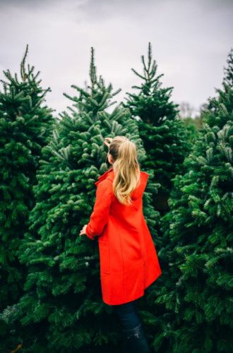 december goals
