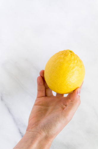 caramelized lemon tart and the story of our lemon tree
